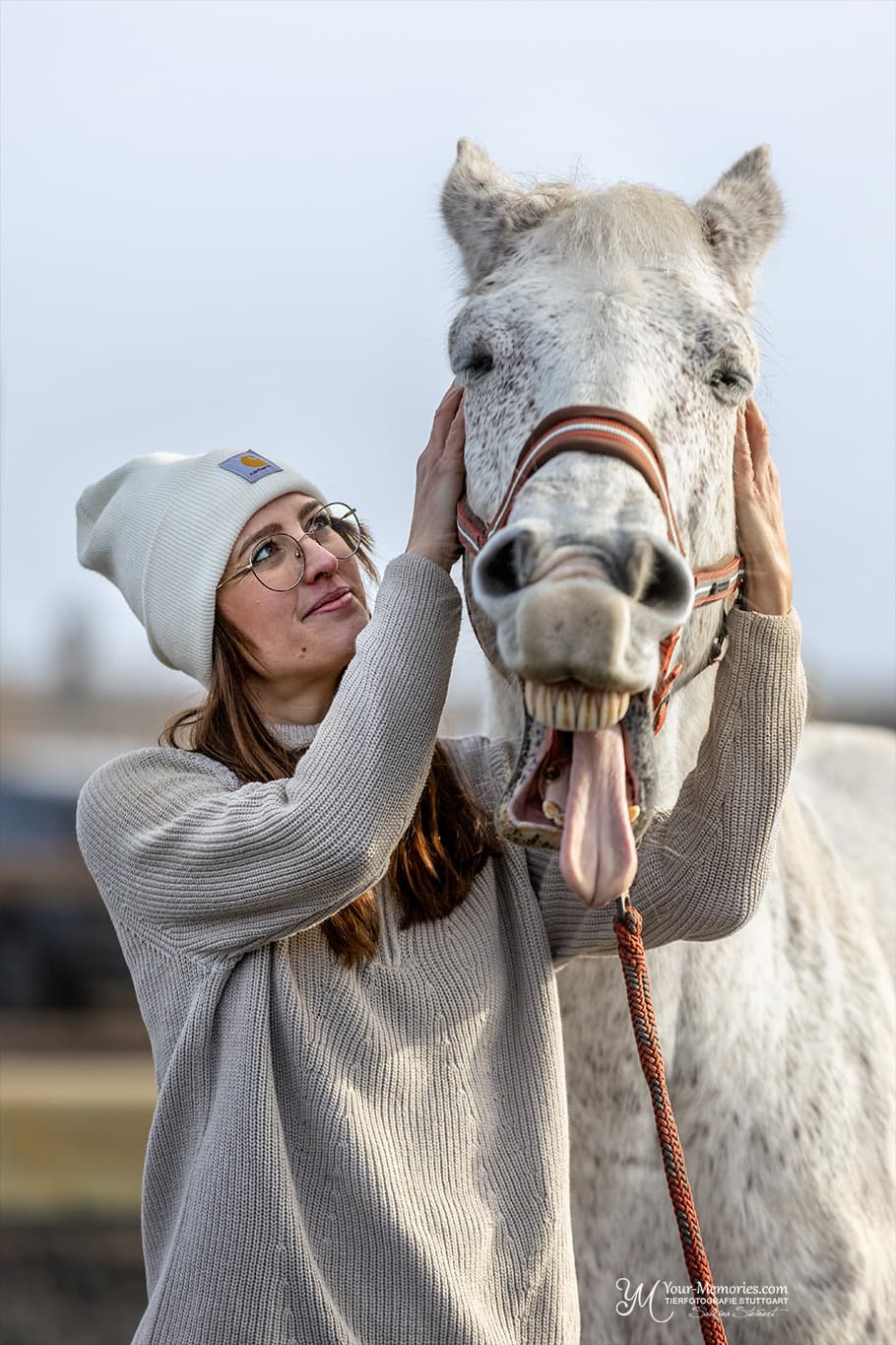 Pferd bewegt sich frei und entspannt